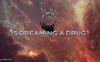 Dreaming and DMT : A Connection to Psychedelic Theory