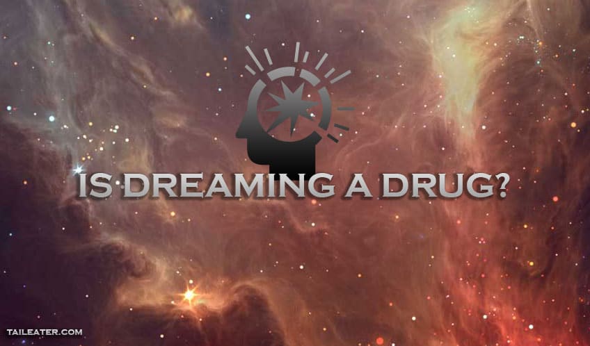 Dreaming and DMT : A Connection to Psychedelic Theory