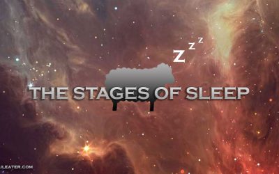 The Stages of Sleep