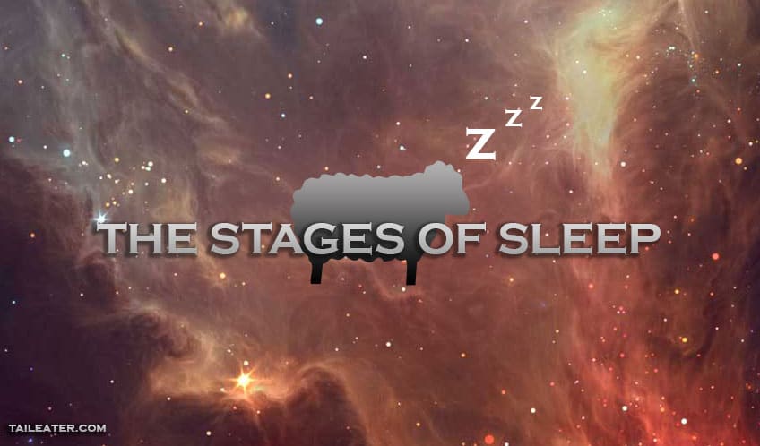 The Stages of Sleep