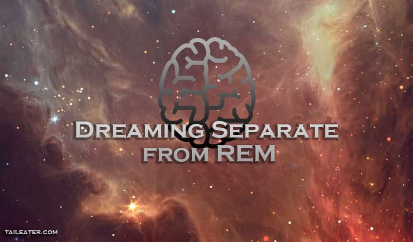 Dreaming Separate from REM