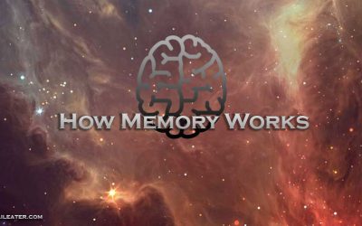 Memory of Dreams and How It Works