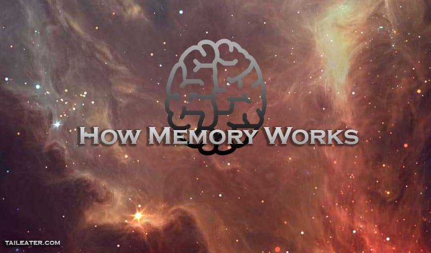 Memory of Dreams and How It Works