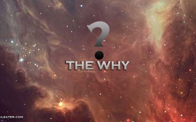 The Why