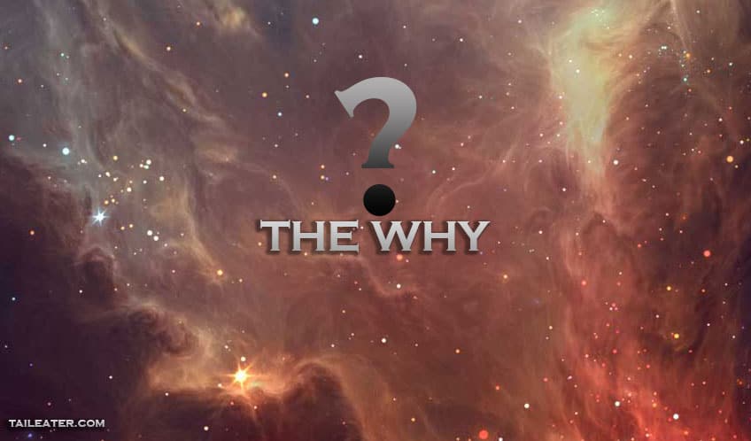 The Why