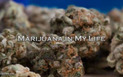 Marijuana in My Life