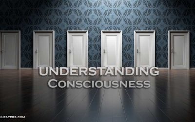 Understanding Consciousness