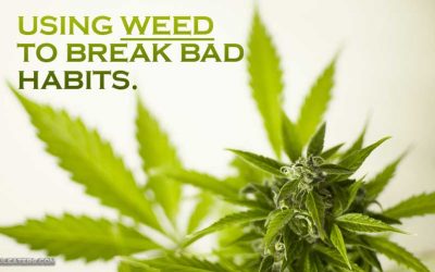 Using Weed to Break Bad Habits