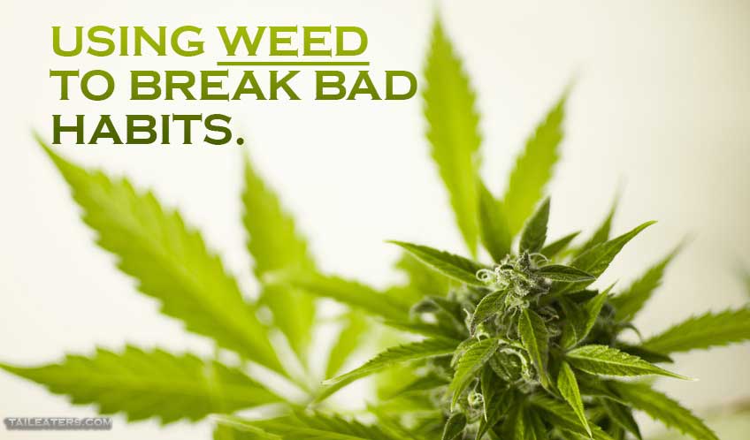 Using Weed to Break Bad Habits