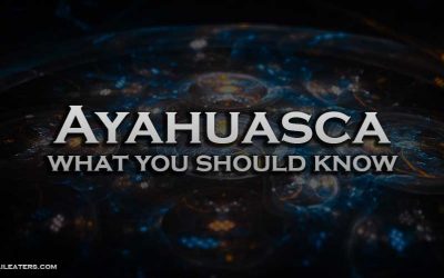 Ayahuasca a healing plant