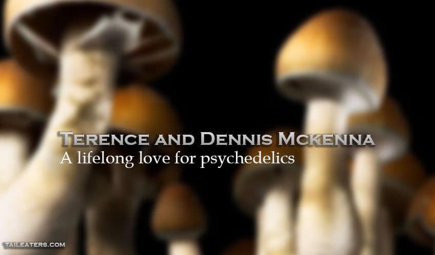 Terence Mckenna Dennis Mckenna Psychedelics