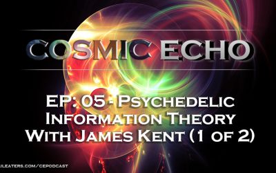 James Kent Psychedelic Information Theory