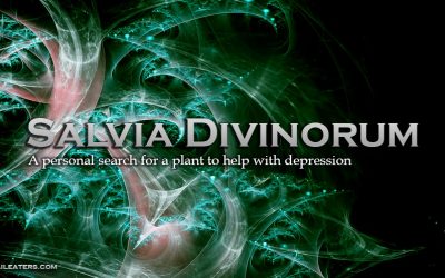 Salvia Divinorum Helps With Depression