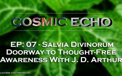 Salvia Divinorum: Doorway to Thought-Free Awareness – J. D. Arthur