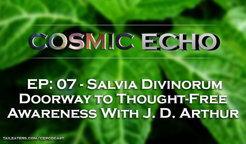 Salvia Divinorum: Doorway to Thought-Free Awareness – J. D. Arthur