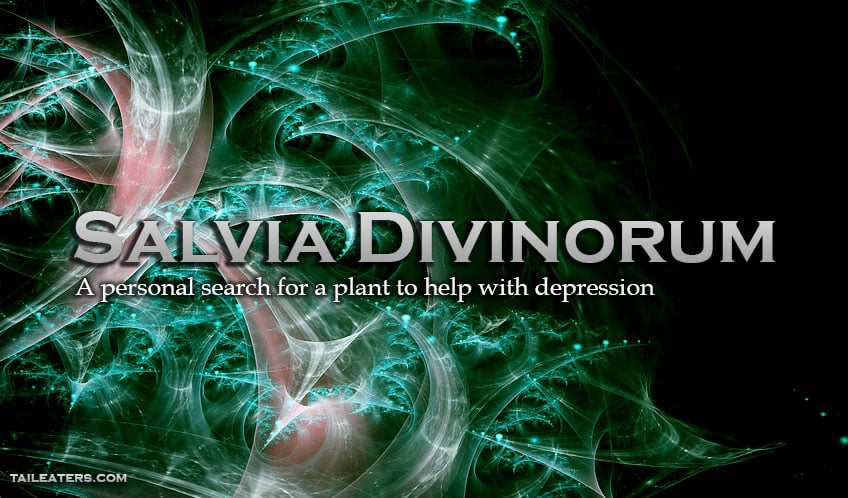 Salvia Divinorum Helps With Depression