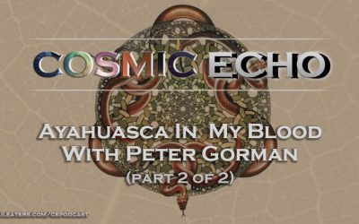 Peter Gorman Ayahuasca In My Blood Part 2