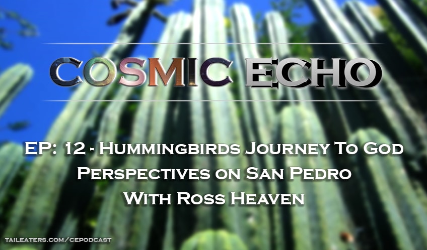 Ross Heaven Hummingbirds Journey To God San Pedro Cactus