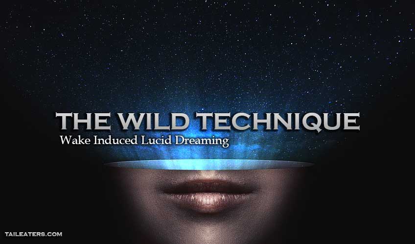 WILD Lucid Dreaming