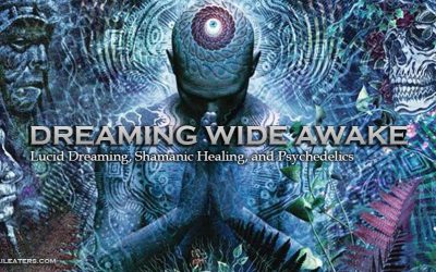 Dreaming Wide Awake by David Jay Brown