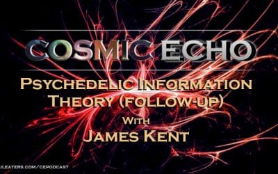 Psychedelic Information Theory James Kent