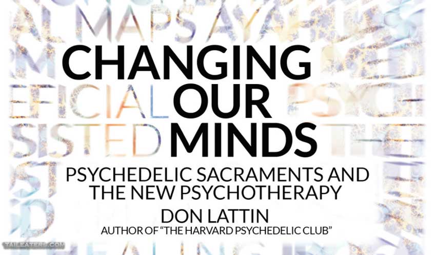 Changing Our Minds Don Lattin Book Psychedelics