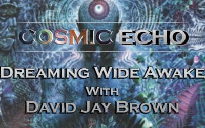 Dreaming Wide Awake with David Brown