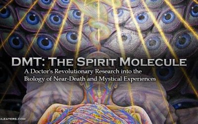 DMT The Spirit Molecule