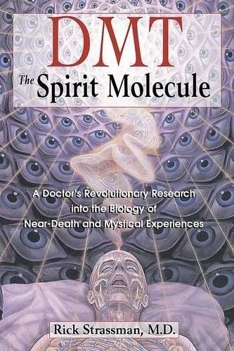 DMT the Spirit Molecule Book