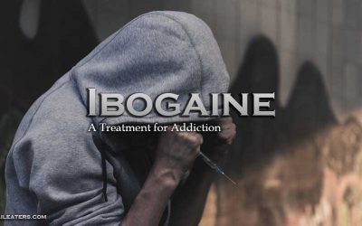 Ibogaine Treatment for Addiction