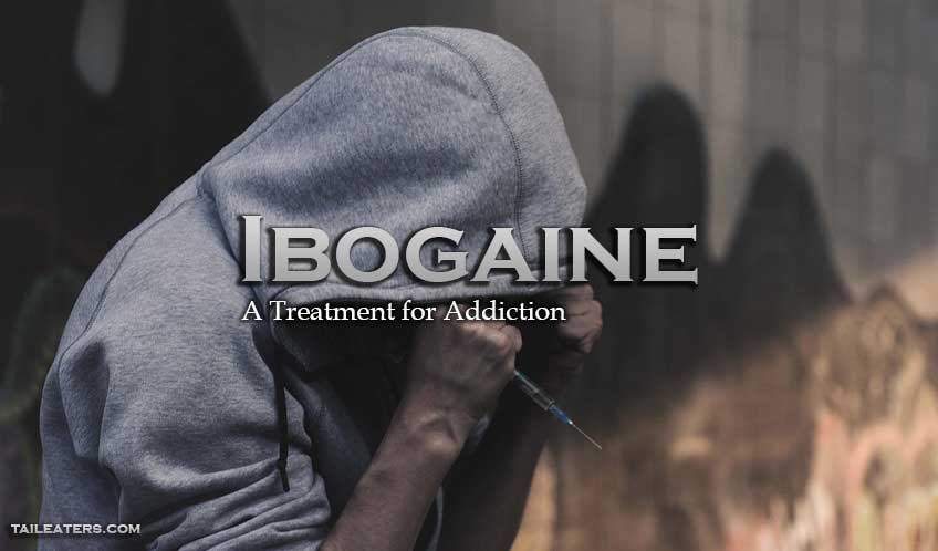 Ibogaine Treatment for Addiction