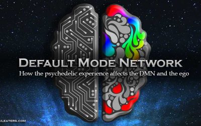 Default Mode Network and Psychedelics