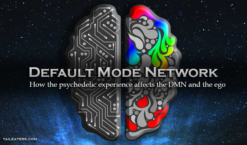 Default Mode Network Psychedelics Changing our Minds
