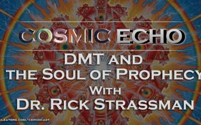 DMT and the Soul of Prophecy with Dr Rick Strassman