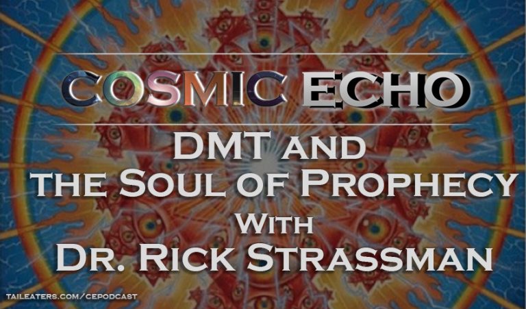 DMT and the Soul of Prophecy Dr Rick Strassman