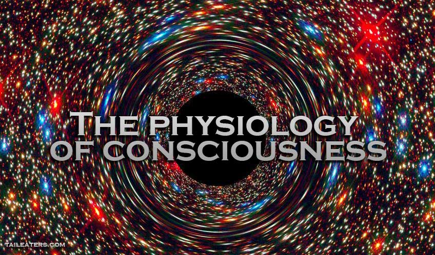 The Physiology of Consciousness