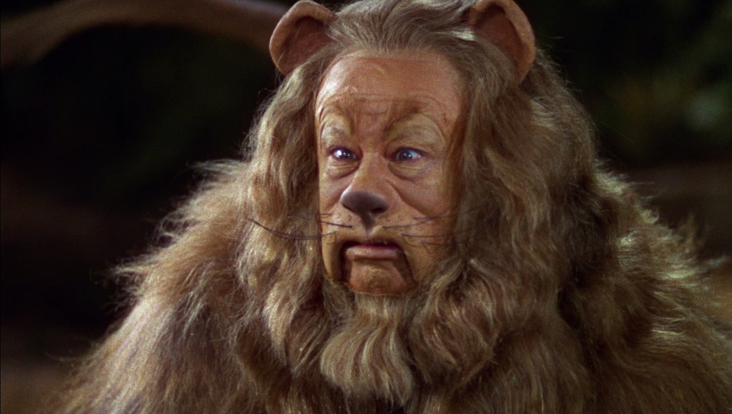 Cowardly Lion Refusal of the Call.