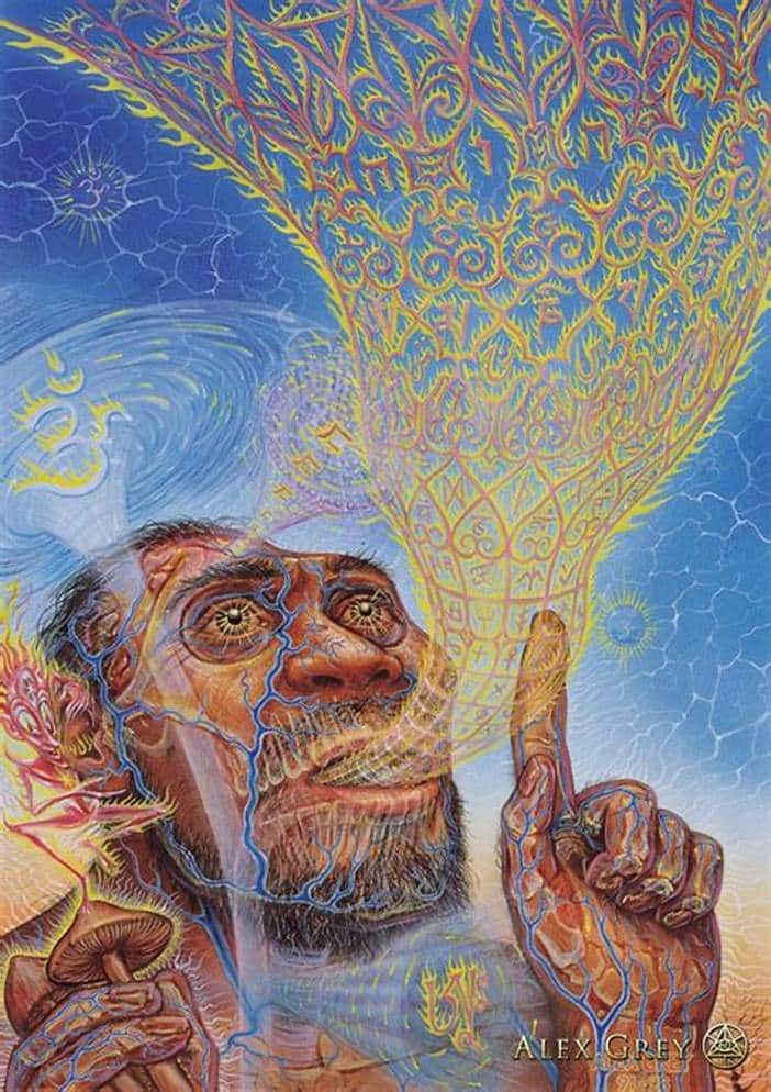 Stoned Ape Theory mystical primate