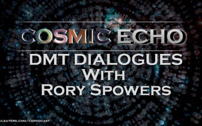 DMT Dialogues with Rory Spowers