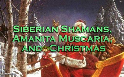 Siberian Shaman, Amanita Muscaria, and Christmas