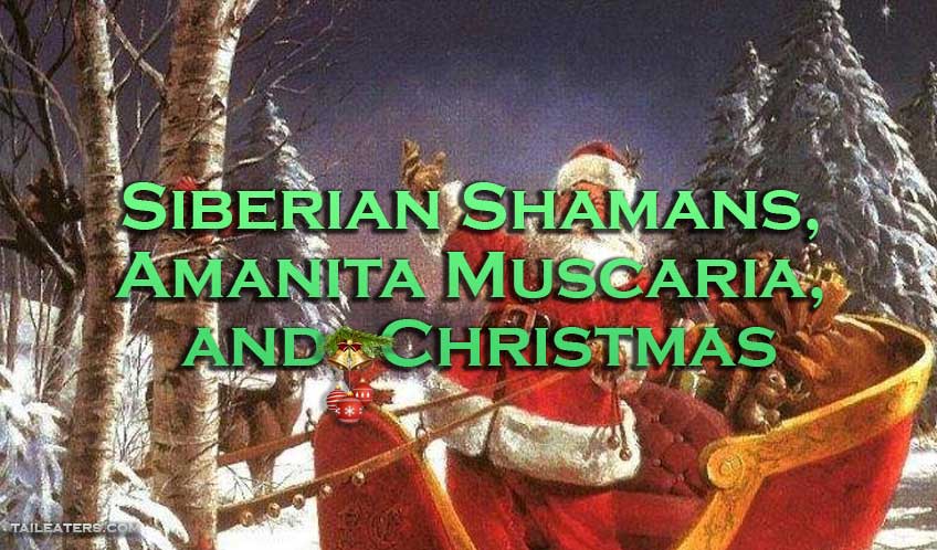 Siberian Shaman Christmas