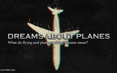 What do flying and plane crashing dreams mean?