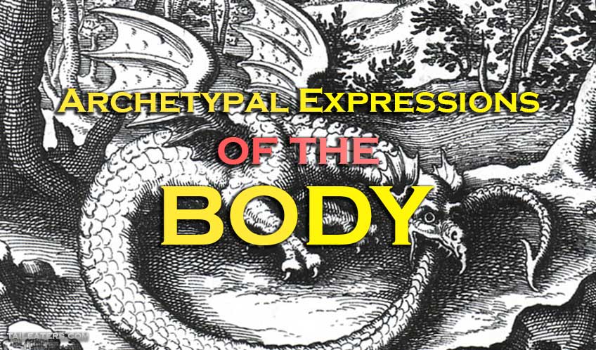 Archetypal Expressions of the Body