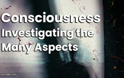 ​Investigating the Many Aspects of Consciousness
